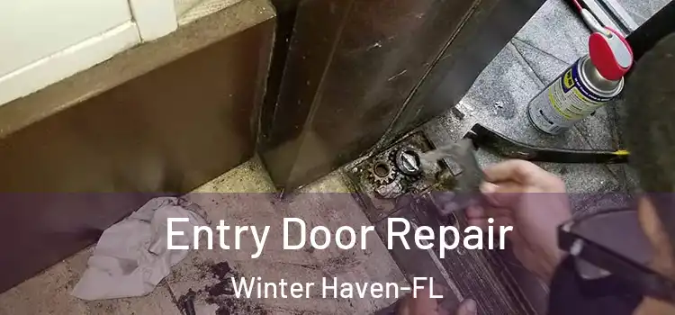  Entry Door Repair Winter Haven-FL
